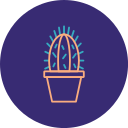 cactus icon