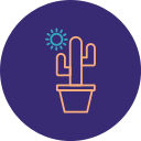 cactus icon