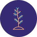 plantar arbol icon