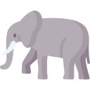 elefante 