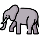 elefante