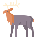 Elk