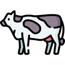 vaca