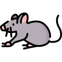 ratón