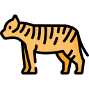 Tiger icon