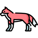 Fox icon