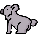 Koala icon