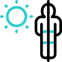 bräunen 