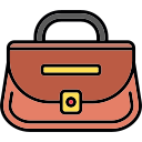 bolso icon