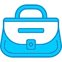 bolso icon