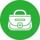 bolso icon