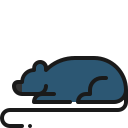 tier 