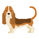 basset hound icon