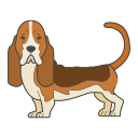 basset hound icon