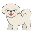 bichón frisé icon