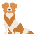 collie de frontera icon