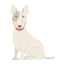 bull terrier icon