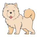 chow chow icon