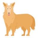 collie icon