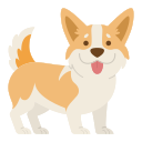 corgi