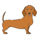 perro tejonero icon