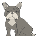 bulldog francés icon