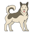 malamute