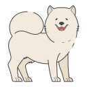 samoyedo