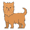 terrier de yorkshire icon