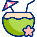 agua de coco icon