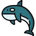 orca icon