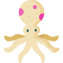 pulpo