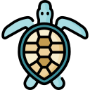 tortuga marina icon