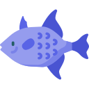 pez ballesta icon