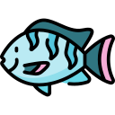 tilapia icon