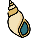 caracol de mar icon