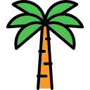 palmeira 