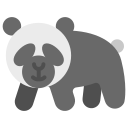 panda 