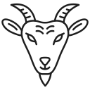 animal icon