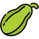 Chayote 