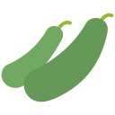 pepino icon