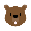 Castor icon