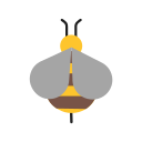 Abeja icon