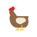 Pollo icon