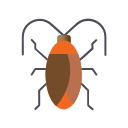 Cucaracha icon