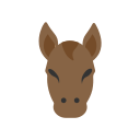 Caballo icon