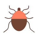 Cucaracha icon