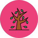 otoño icon