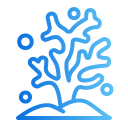 Коралл 
