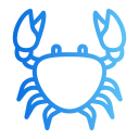 Crab 